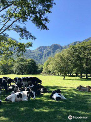 Togakushi Farm