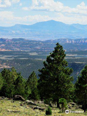 Larb Hollow Overlook