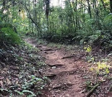 ボターニコ・デ・ラジェアド庭園