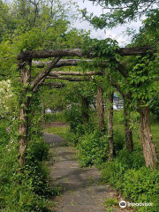 Daniel Boone Native Gardens