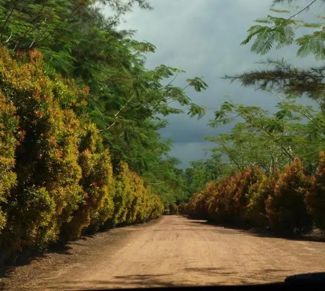 Pangkalpinang