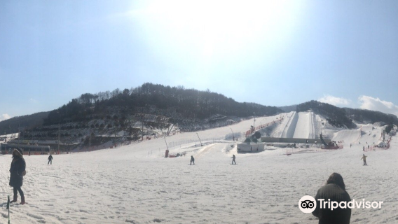 Phoenix Pyeongchang Resort