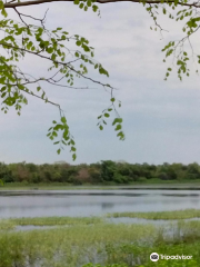 Gorewada Lake