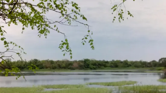 Gorewada Lake