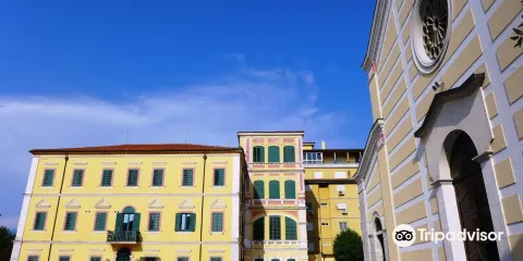 St Stephen's Catholic Cathedral  (Shkoder Cathedral)