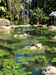 The Enchanted Gardens, Bird Aviary, and Waterfall