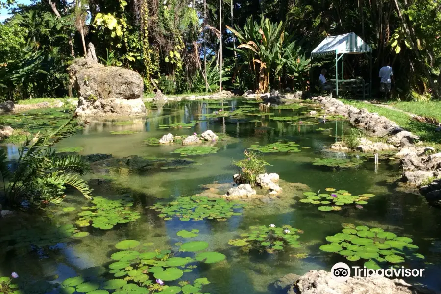 The Enchanted Gardens, Bird Aviary, and Waterfall