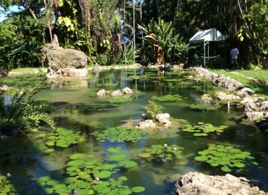 The Enchanted Gardens, Bird Aviary, and Waterfall