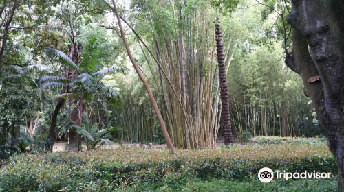 Jose do Canto Botanical Garden