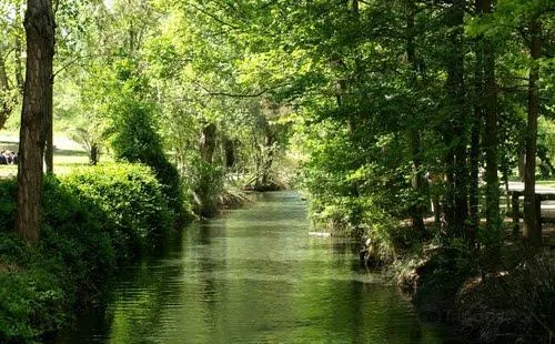 Parque Municipal de San Vicente