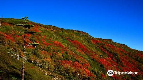 赤岳銀泉台