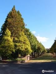 Wakunaga Manji Memorial Garden