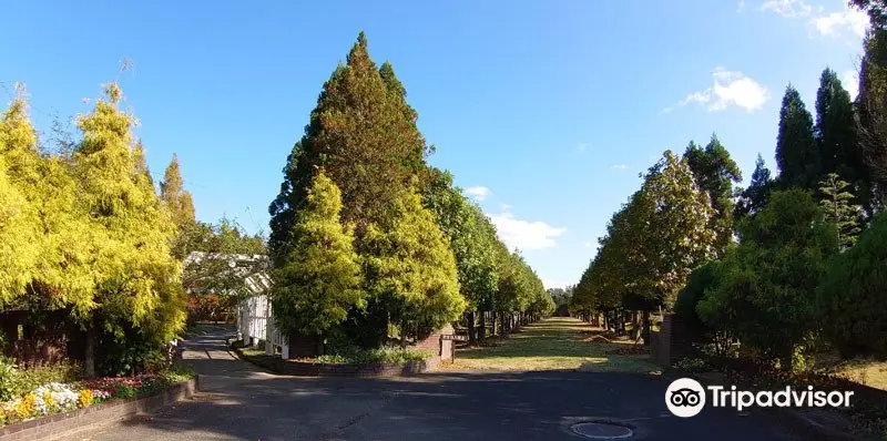 Wakunaga Manji Memorial Garden