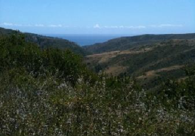 Aliso and Wood Canyons Wilderness Park