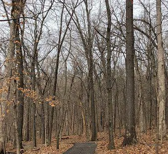 Powder Valley Conservation Nature Center