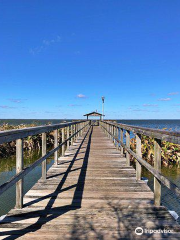 Lake Apopka