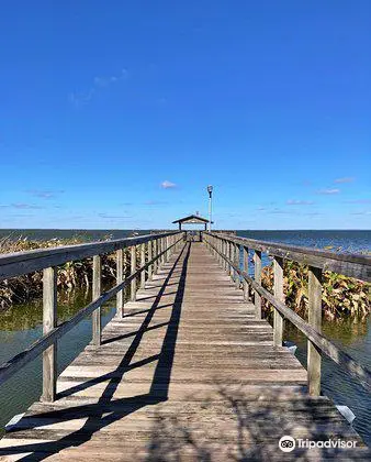 Lake Apopka