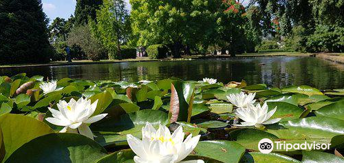 Salmon Ponds Heritage Hatchery and Gardens