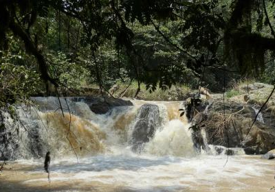 Kakamega Forest National Reserve