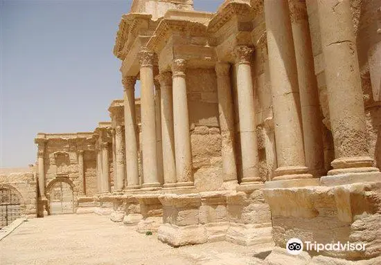 Museum of Palmyra