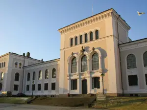 Bergen University Museum - Natural History