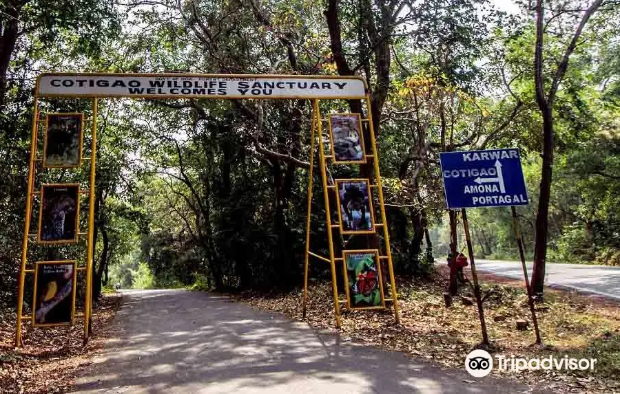 Cotigao Wildlife Sanctuary