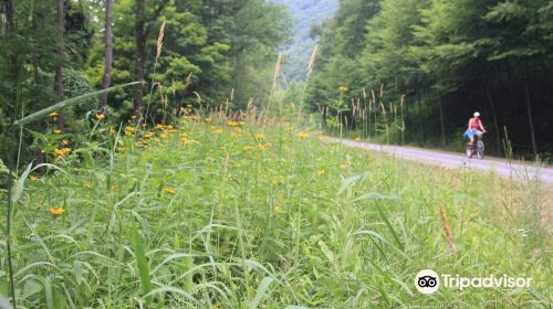 Pine Creek Rail Trail