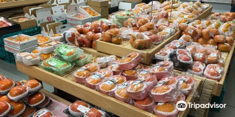 道の駅 青洲の裡