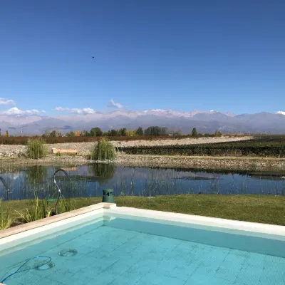 Casa Petrini Hotels in 