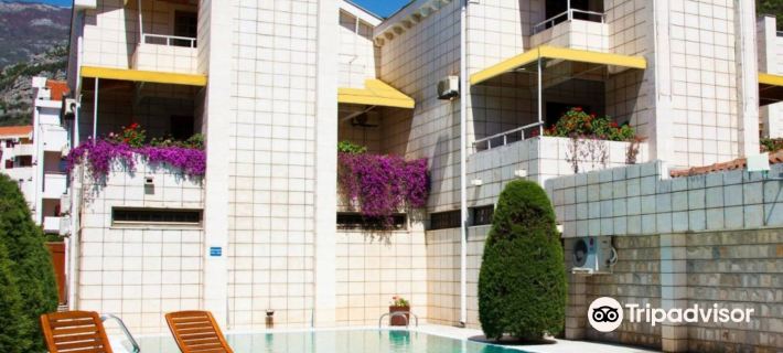 Hotel Admiral Hotels in Budva