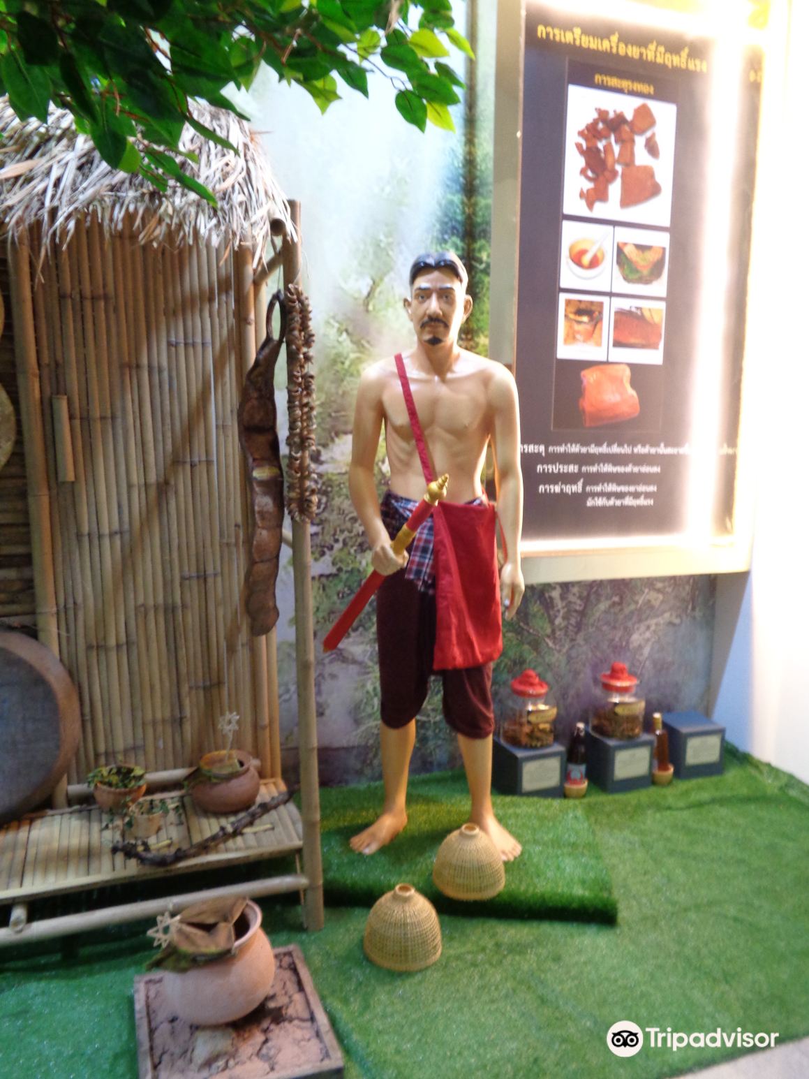 Museum and the Thai Traditional Medical Training Centre