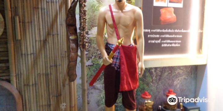 Museum and the Thai Traditional Medical Training Centre