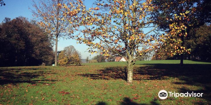 St. Giles Hill