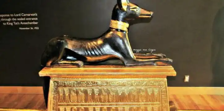 โรงแรมในคิตเชเนอร์