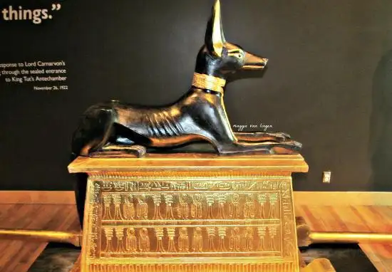 2_THEMUSEUM