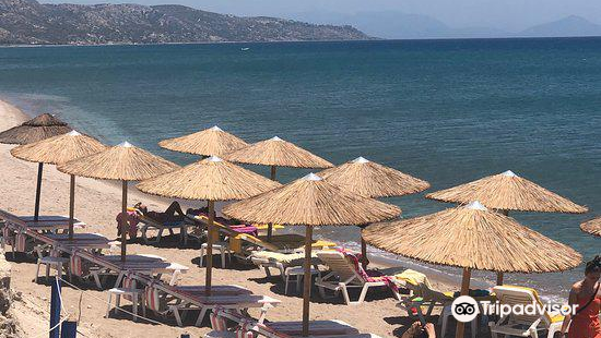 King Size Beach Bar Reviews: Food & Drinks in South Aegean Kos– Trip.com