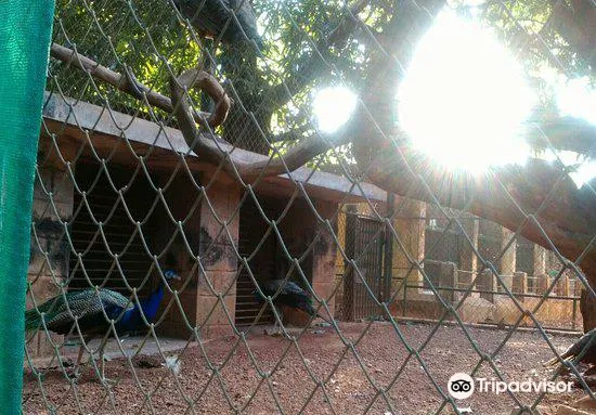 5_Thrissur Zoo & Museum