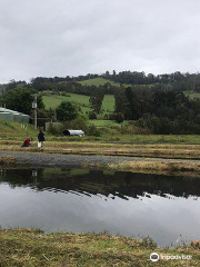 Alpine Trout Farm