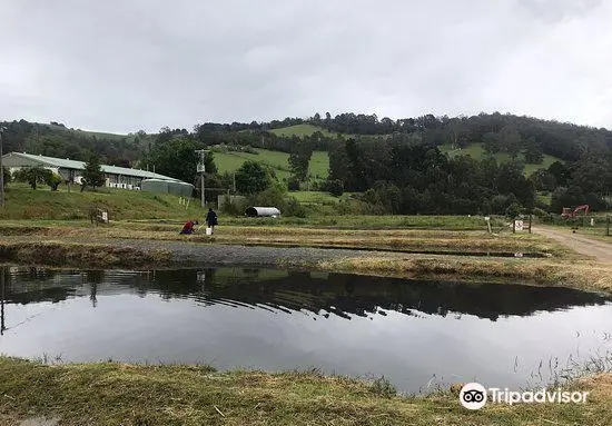 Alpine Trout Farm