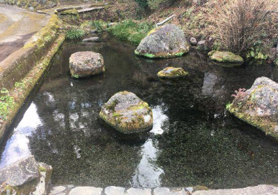 Spring Water in Myoken Shrine