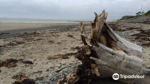 Cranfield Beach