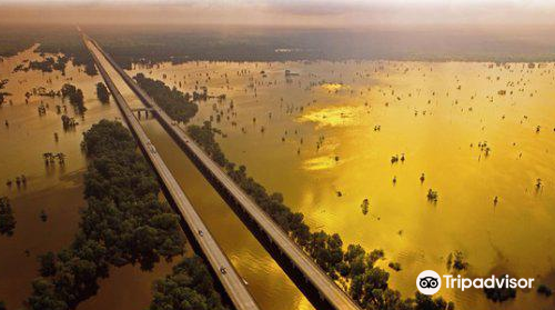 Atchafalaya Basin Bridge