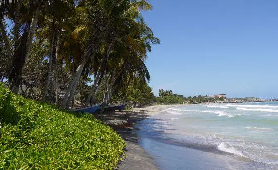 Paraguchi