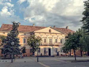 National Museum Kikinda