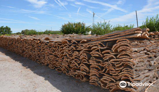 Cortiçarte - Arte em Cortiça