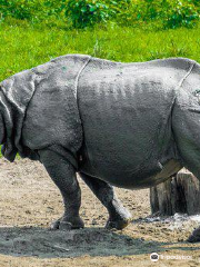 Jaldapara national park