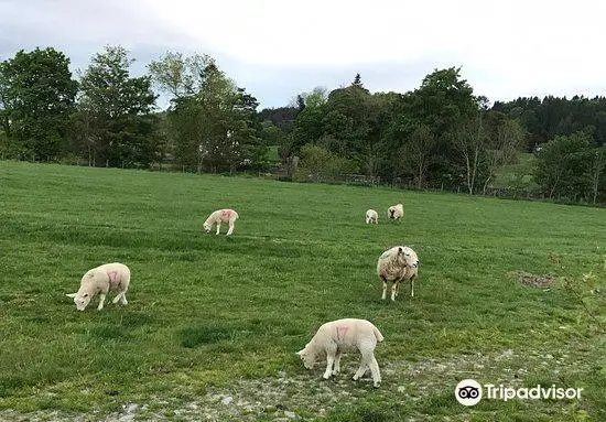 Hawkshead Hall Campsite