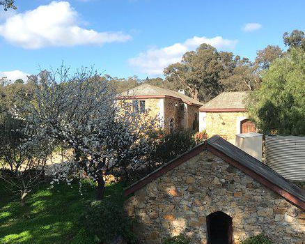 Panton Hill Vineyard & Winery