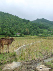 Thung lũng Tú Lệ