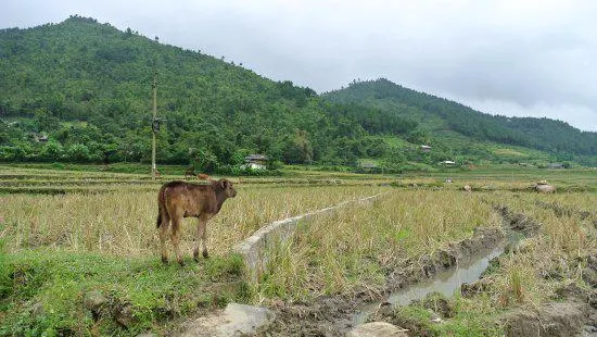 Tu Le Valley